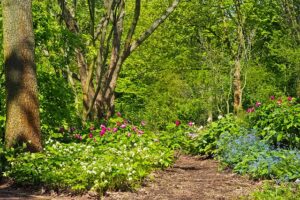 Residential Tree Spray Service