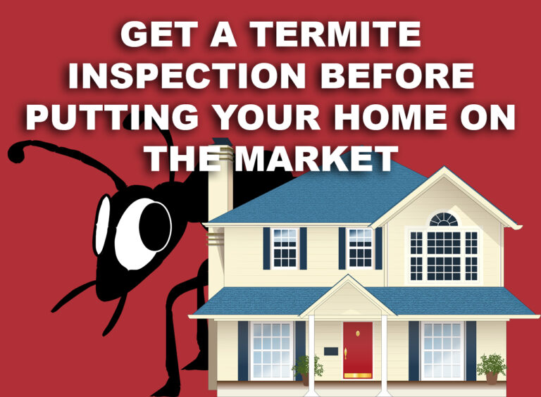 Get a Termite Inspection Before Putting Your Home on the Market
