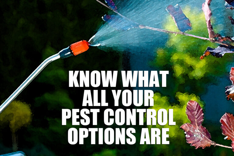 Know What All Your Pest Control Options Are​