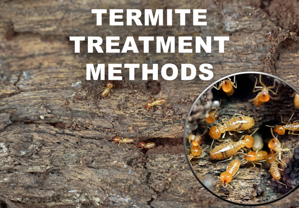 termite treatment methods