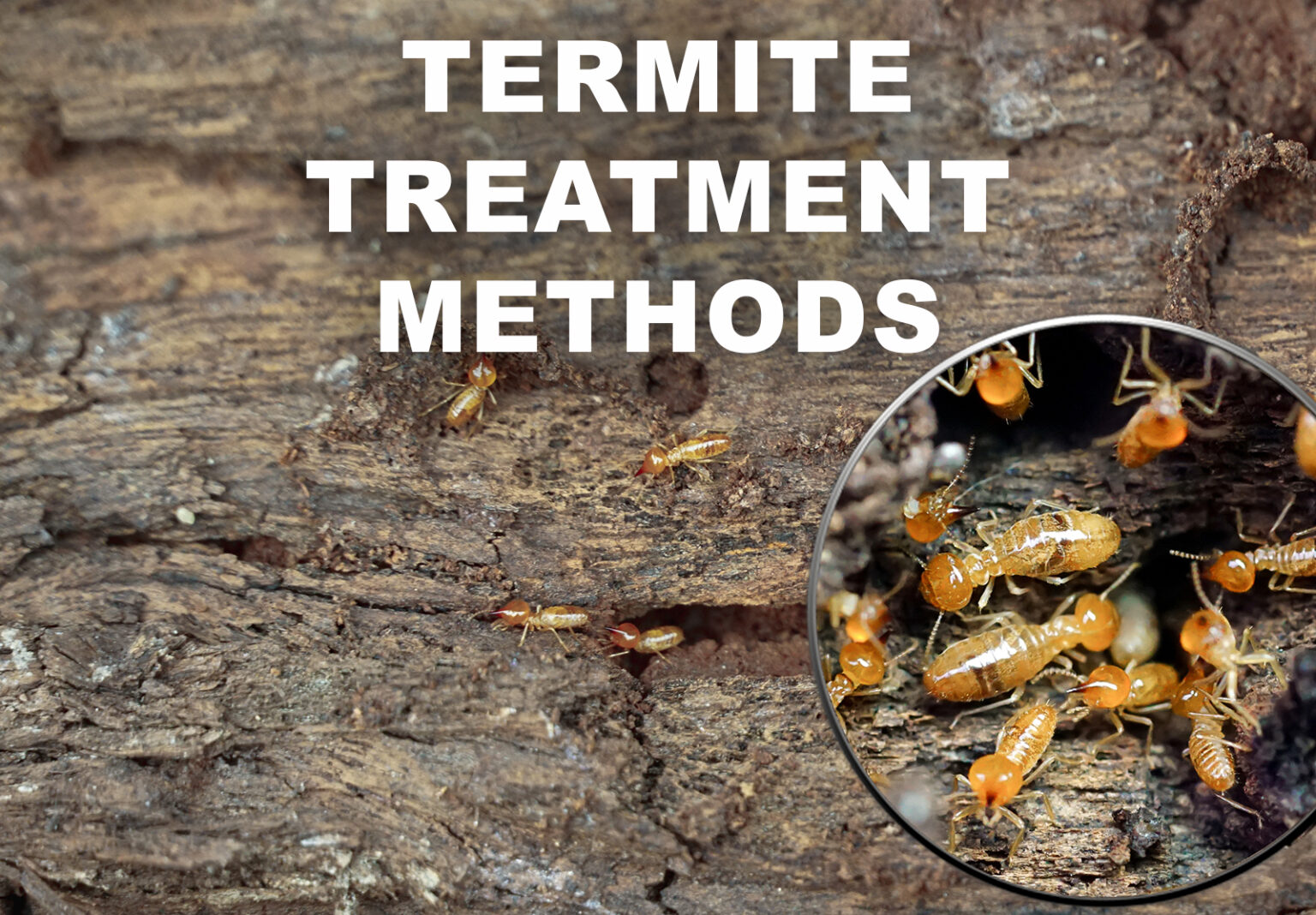 Choosing a Treatment Method After Your Termite Inspection