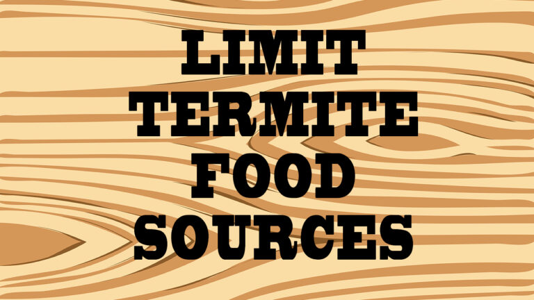 Limit Termite Food Sources