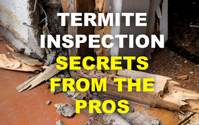 Termite Inspection Secrets from the Pros