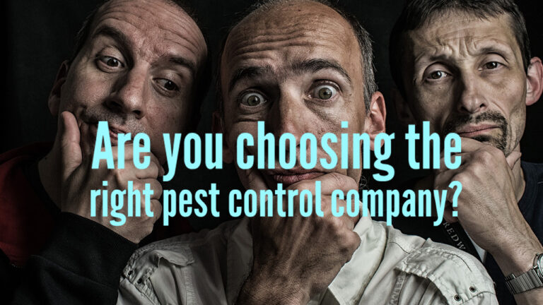 Are you choosing the right pest control company