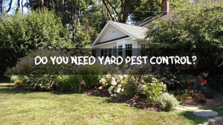 Do you Need Yard Pest Control