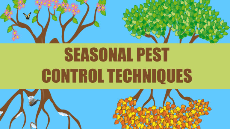 How to Adjust Your Pest Control Techniques For the Changing Season