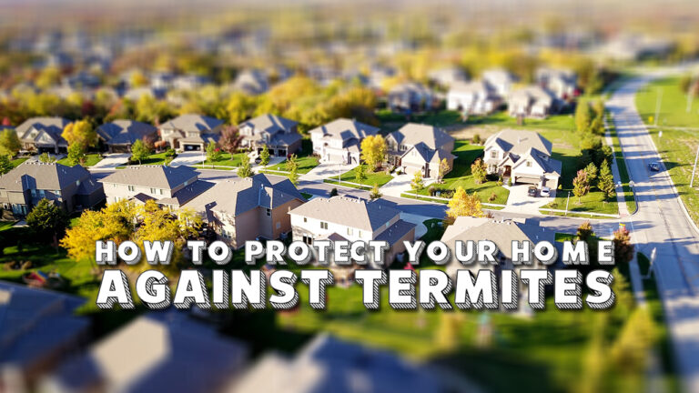 Techniques That Work to Protect Your Home Against Termites