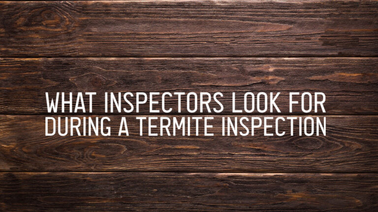 What Inspectors Will Look For During Your Termite Inspection