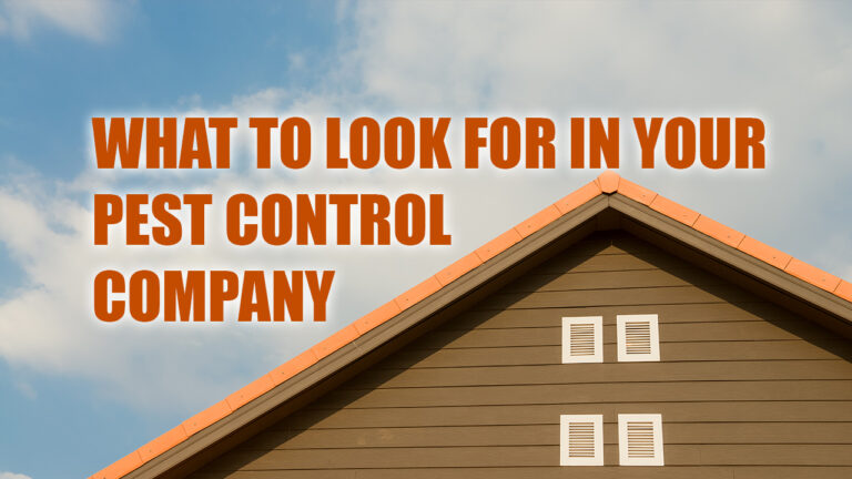 What to Look For in Your Pest Control Company