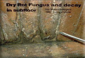Dry Rot Repair Services
