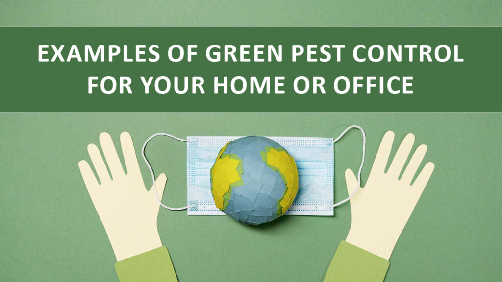 Examples of Green Pest Control for Your Home or Office