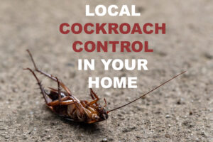 Local Cockroach Control in Your Home