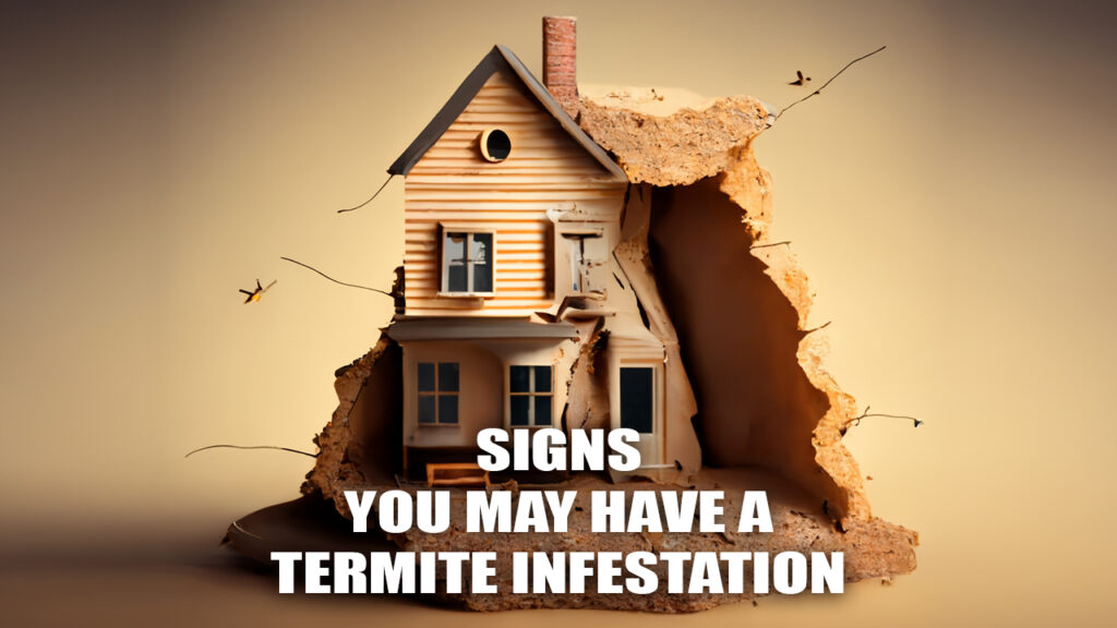 Signs that you may have a termite infestation​
