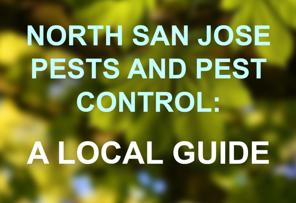 North San Jose Pests and Pest Control A Local Guide