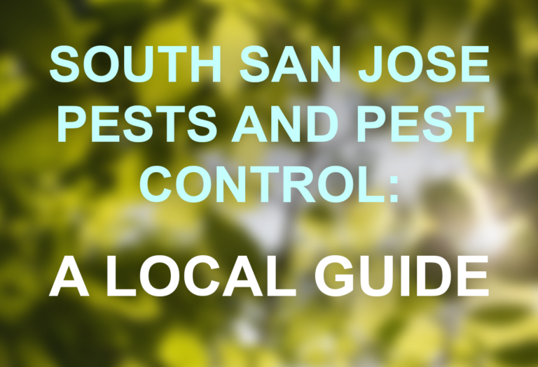 South San Jose Pests and Pest Control A Local Guide