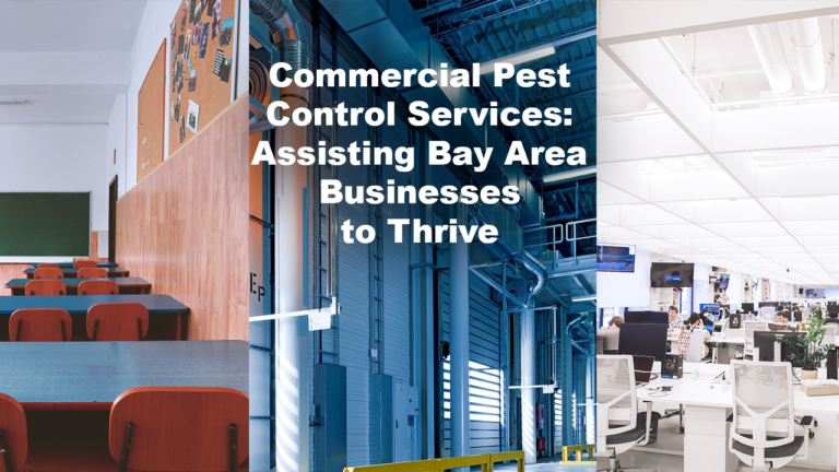 Commercial Pest Control Services from Killroy Pest Control Assisting Bay Area Businesses to Thrive