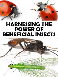Harnessing the Power of Beneficial Insects