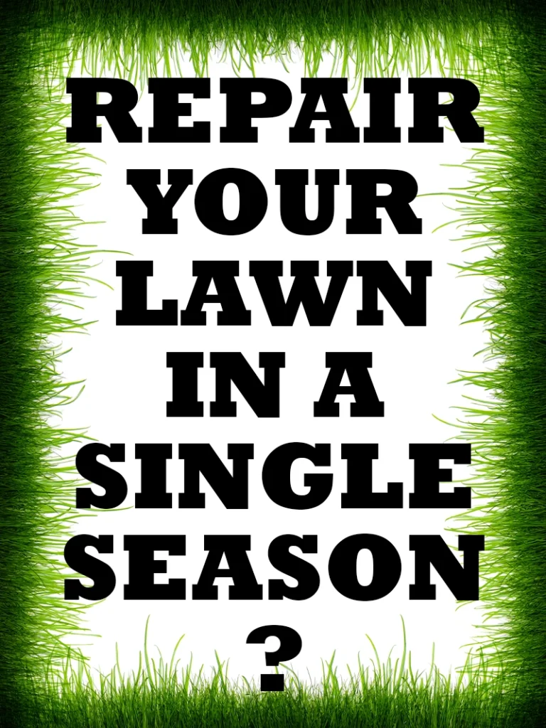 Repair Your Lawn in a Single Season