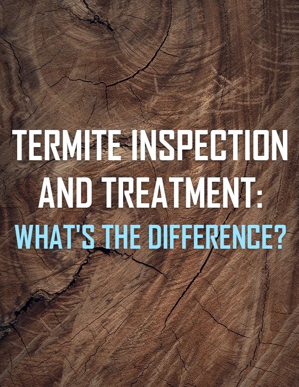 Termite Inspection and Treatment What's the Difference​