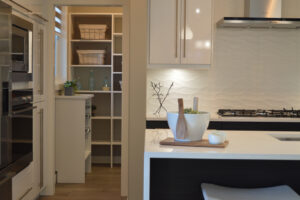 Kitchen and Pantry Pest Control
