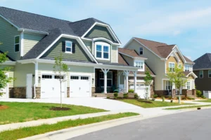 Termites and Residential Pest Control