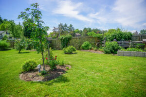 Yard and Garden Weed Control